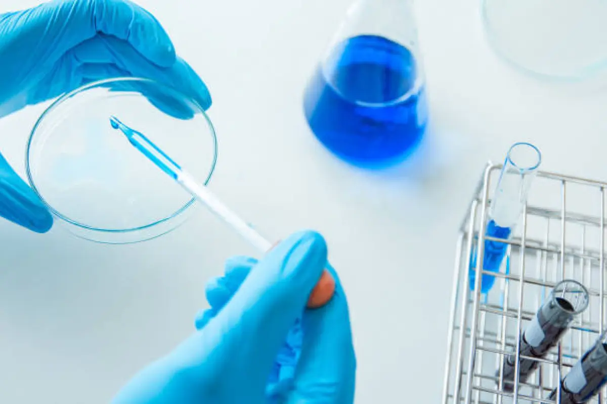 in vitro studies in vitro studies