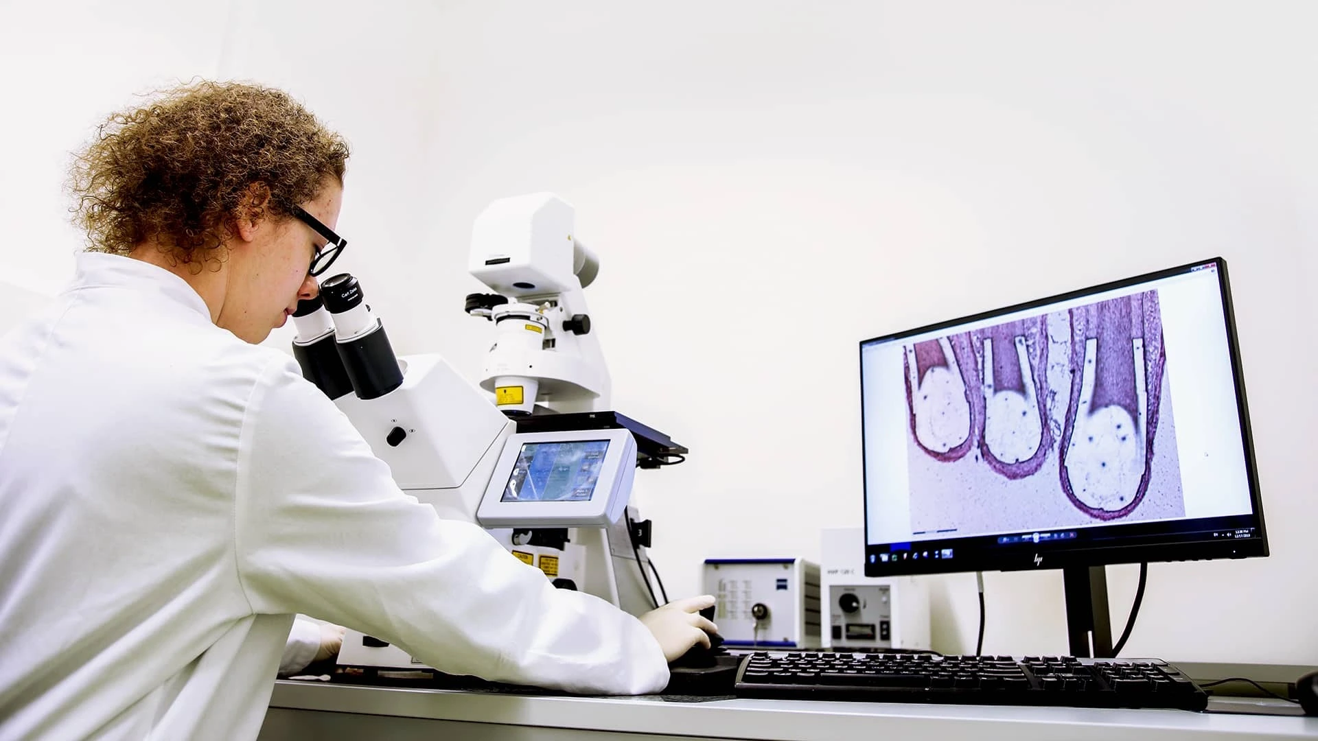 cosmetic dermatology study